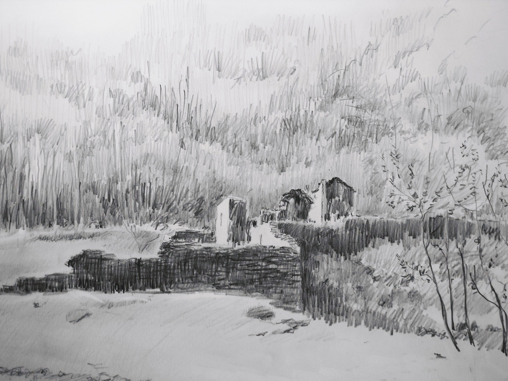 205. 2010. matita. semione. castello. 48x30